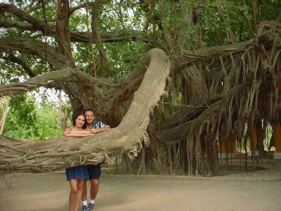 Quinta de San Pedro Alejandrino - Santa Marta - Colombia