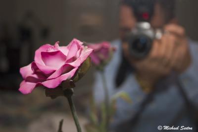 u38/canon_300d/medium/40570308.ReflectionsofaHobby.jpg