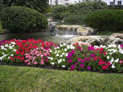 Floral Display in Fort Lauderdale