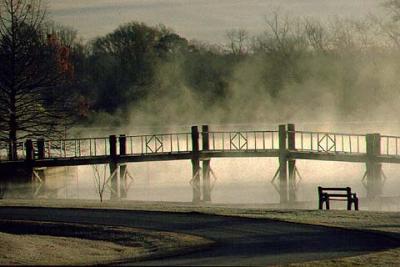 Bridge in Fog.jpg