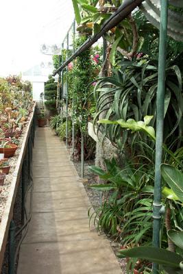 Conservatory Interior, Left