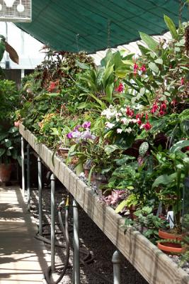 Conservatory Interior, Right