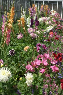 Mixed Flowers beside Conversatory