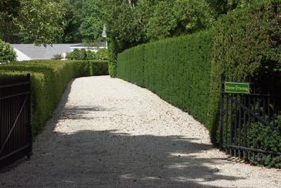 private-driveway-M1337-72lg.jpg