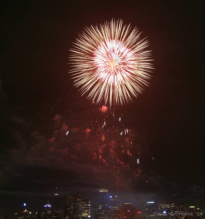 CRW_7767_CR.jpg