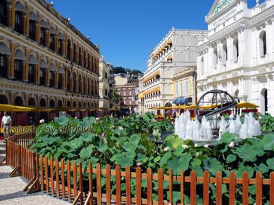 Macau 1.jpg