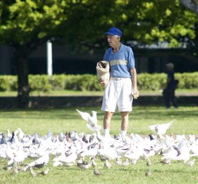 Man and His Birds