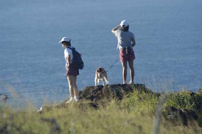 Whale Watchers