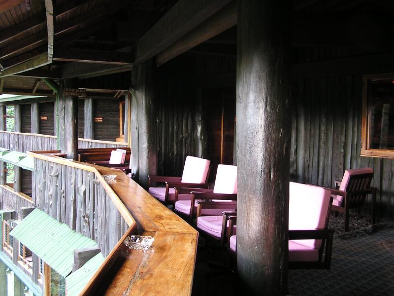 bar and viewing area