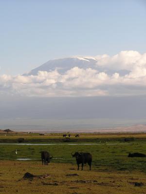 Capes in front of Kiliminjaro