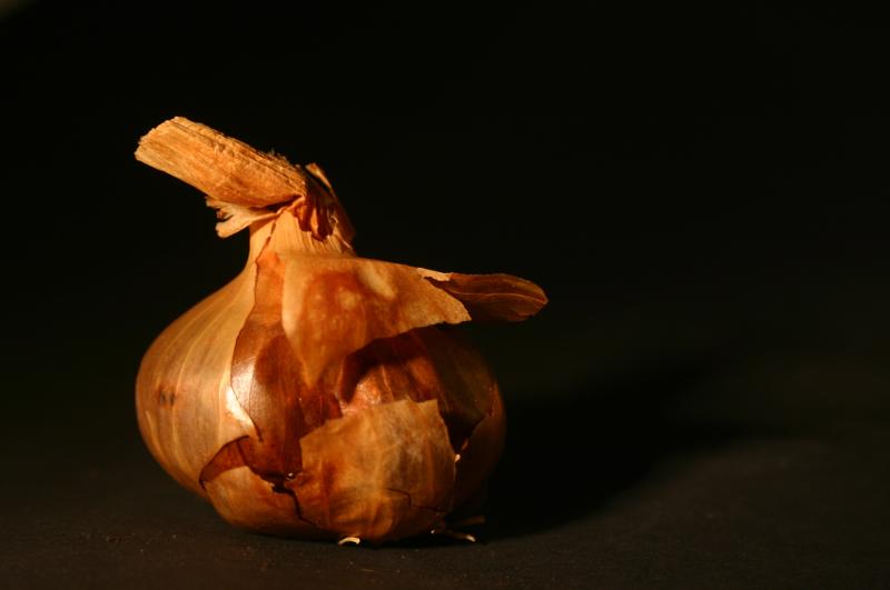 January 5 2004:<br> Prize Vegetable