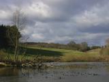 Lydling Farm Pond, Shackleford