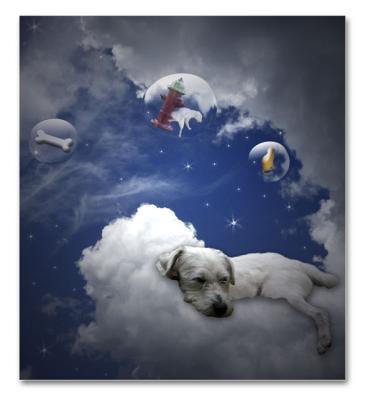 Cloud 9