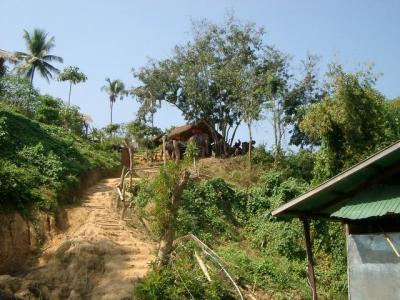 Elephants, as seen from the boat