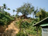 Elephants, as seen from the boat