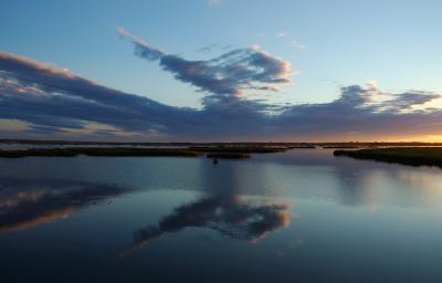 DSC_1750.jpg