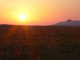 DSC01641.JPG