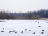 DSC04842_2nd.JPG