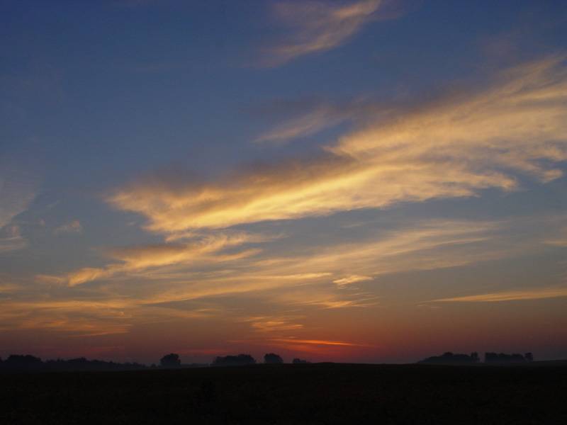 DSC01598.JPG