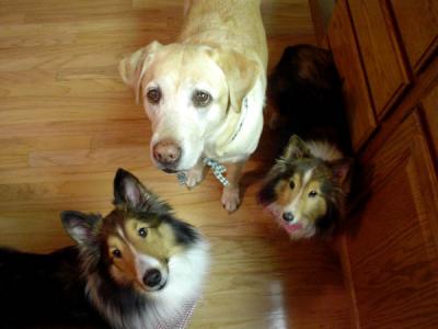 u38/cpeppel/medium/24761217.TheKids.jpg