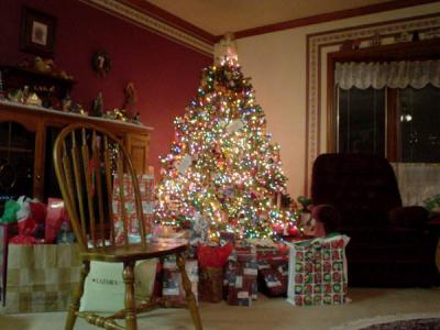 The Osborne's Christmas Tree