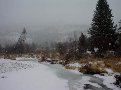 Creek During Heavy Snow