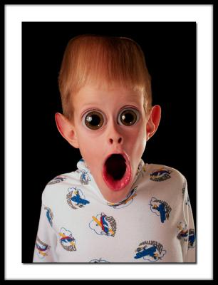 Herman Munster Jr.