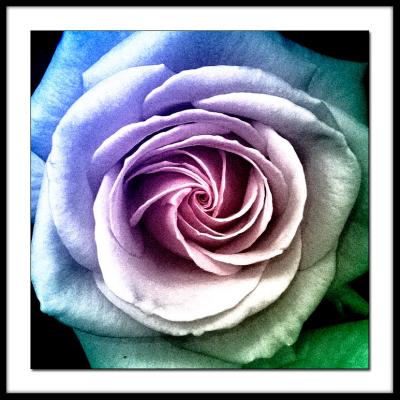 Color Balance