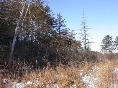 Shoreline of peninsula