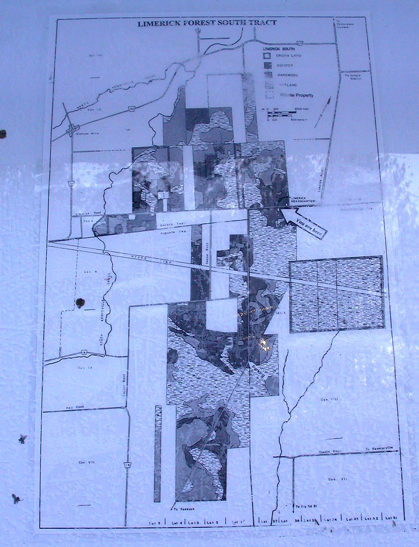 Map of the South Tract of Limerick Forest