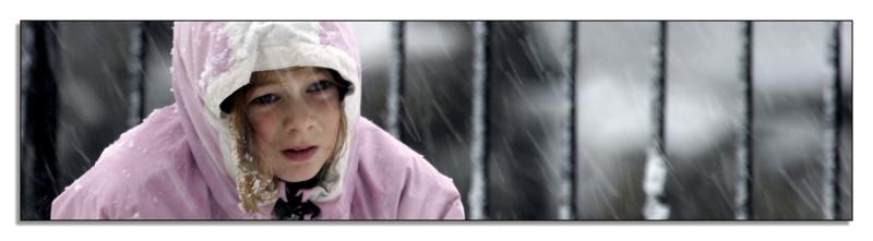 <B>Weathering the Storm</B><BR>Michael Ageno
