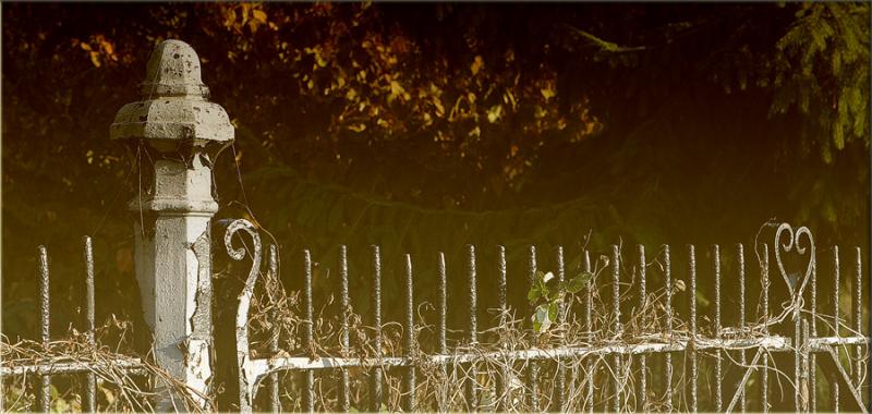 <b>The tortuous road to Love*</b><br><i>*by Peter Woods </font>