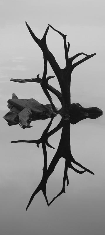 <b>Drifting Reflections*</b><br>:: Zack Schildhorn ::