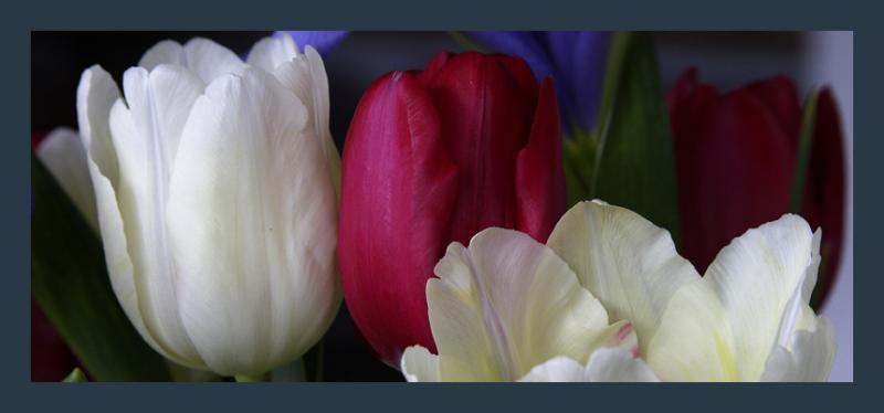 <B>Tulip Bouquet</B>