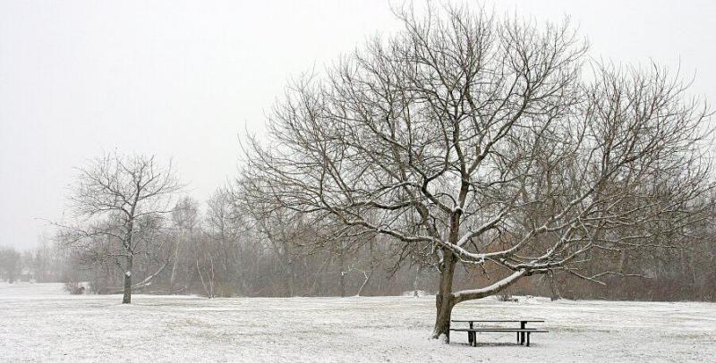 <B>Peaceful</B><BR><I>*by Mark Hensley</I>