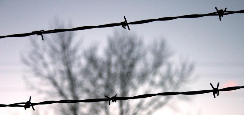 <b>Trapped *</b> <br>by Aric Spence