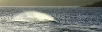 Spume *Adam Clutterbuck
