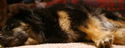 Nap Time*:: Zack Schildhorn ::