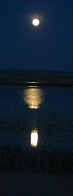 Moon over the flightdeck Bob Watt