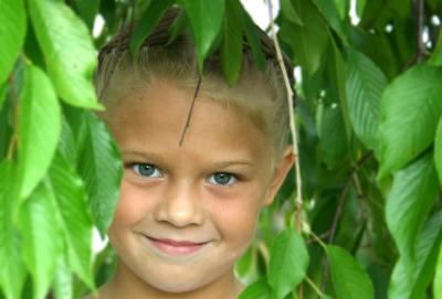 Wiley in a bush by Billy Webb*