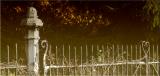 <b>The tortuous road to Love*</b><br><i>*by Peter Woods </font>
