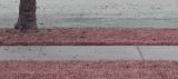 <b>dreary *</b><br><I>by Karl Palsson</i>