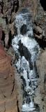 <B>Frozen Falls</B> <BR> Bob Watt