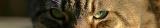 Watching You *<p>Craig Wanke
