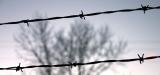 <b>Trapped *</b> <br>by Aric Spence