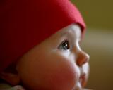 <b>9th Place (Tie)</b><br><i>little red<br>by Peter Poskas</i>