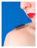 Chip On My Shoulder * by iso3200