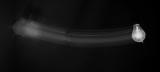 Light and Motion *