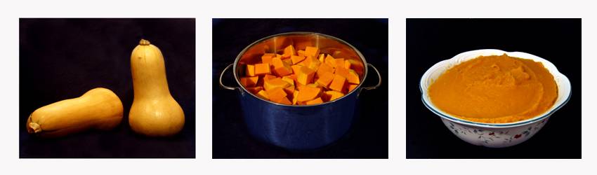 <b>Squash</b><br><font size =1>* by Jim B MSP*</font>