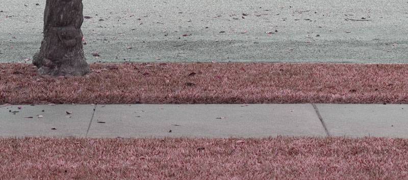 <b>dreary *</b><br><I>by Karl Palsson</i>